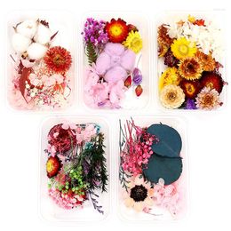 Decorative Flowers Hydrangea Dried Flower Natural Preserved Fresh Leaves DIY Crafts Decoration Eternal Material Flores Secas Boda