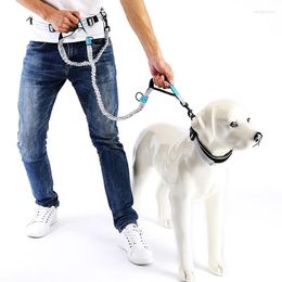 Dog Collars Summer Pet Supplies Cats And Dogs Traction Rope Running Belt Puppy Accessories Chain