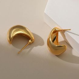 Stud Earrings Fashion Gold Plated Waterdrop Small Chunky Hoop Women Stainless Steel Lightweight Teardrop Elegant Jewellery Gifts