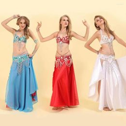 Stage Wear 2023 Performance Dancewear Bellydance Clothes Outfit B/C Cup Split Skirt Professional Women Egyptian Belly Dance Costume Set
