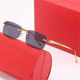 56% OFF Sunglasses 2023 New leopard head men and women fashion personality optical frame can be equipped with myopia glassesKajia New