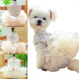 Dog Apparel Luxury Design Wedding Dress For Small Dogs Tulle Tutu Princess Skirts Pet Chihuahua Yorkie Terrier Clothes Cat Costume