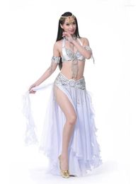 Stage Wear Belly Dance Costume 3pcs Bra&Belt&Skirt Sexy Dancing Women Clothes Set Bellydance Festival Outfit