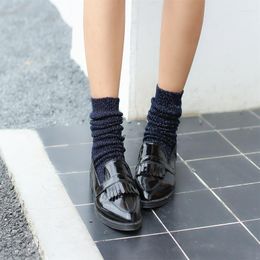 Women Socks 1009 Thick Thread Silver Silk Fine Vertical Stripes Bunching Autumn And Winter Tube Retro Mori College Style Wom