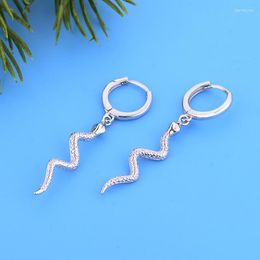 Hoop Earrings 925 Silver Round Circle Gold Colour Punk Style Tassel Animal Snake Pendant Earring Ear Clip Brinco Bohemia Pendientes