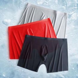 Underpants 2Pcs Sexy Men Underwear Perspective Mesh Boxer Shorts Breathable Quick-dry Male Plus Size Sports Fast