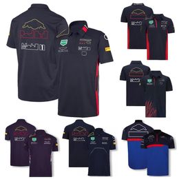 F1 T-shirt Formula 1 Driver T-shirts Short Sleeved Team Polo Shirts Racing Shirt Men's Jerseys Tops Quick Dry Plus Size Motoc287D
