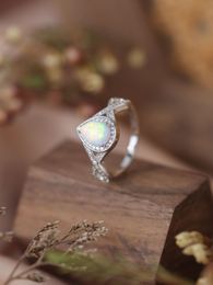 2023 Fashion New European and American Sterling Silver S925 Auspicious Treasure Ring Women's Ring Small Design Sense Ring