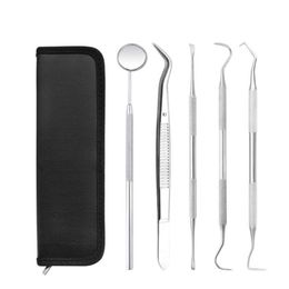 Professional Hand Tool Sets 4 5 PCS Tools For Tooth Scraper Kit Stainless Toothpastes Dental Dentist Seek Mirror Instruments1802