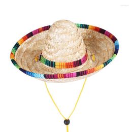 Dog Apparel Cute Colorful Adjustable Pet Straw Hat Cat Costume Mexican Cap Sombrero With Rubber Band Buckle Ornaments Supplies