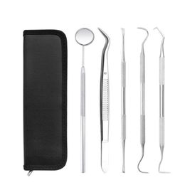 Professional Hand Tool Sets 4 5 PCS Tools For Tooth Scraper Kit Stainless Toothpastes Dental Dentist Seek Mirror Instruments195j