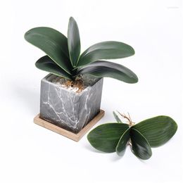 Decorative Flowers 1pc Artificial Green Moth Orchid Leaf Real Latex Touch Plant For Garden Bonsai Decor