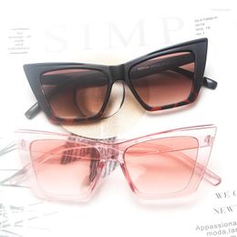 Sunglasses Fashion Cat Eye Woman Men Classic Brand Design Plastic Sun Glasses Trend Vintage Luxury Eyewear Frame Uv400
