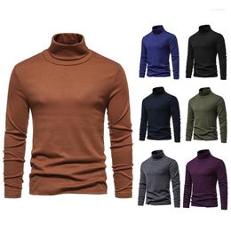 Men's Sweaters 2023 Autumn And Winter High Neck CVC Wool Fleece Sweater Bottoming Shirt Fashion Leisure Solid Color Warm