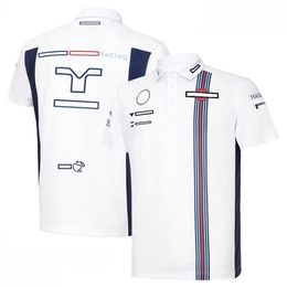 F1 POLO shirt Formula 1 team uniform men's and women's racing lapel T-shirt can be customized192d
