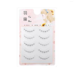 False Eyelashes 5 Pairs Pack Multi-Layered Fluffy Volume Long Thick Lashes Beautify Eyes Professional Salon Use