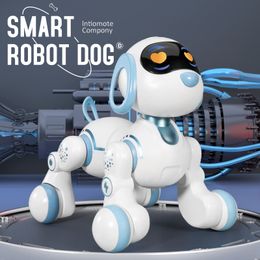 Electric RC Animals Funny RC Robot Electronic Dog Stunt Voice Command Touch sense Music Song for Boys Girls Children's Toys 6601 230731