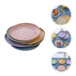 Dinnerware Sets Snack Plate Plates Container Fruit Dessert Round Shaped Disc Storage