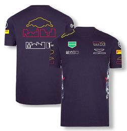 Men's T-shirts F1 Team T-shirt Formula 1 Driver Short Sleeved T-shirts Summer Racing Fans Round Neck Casual T-shirt Plus Size Car Jersey Wt7g