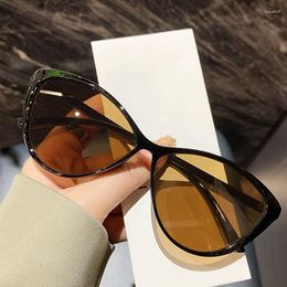 Sunglasses Sexy Cat Eye Women Fashion Brand Designer Travel Sun Glasses Female Vintage Personality Hip Hop Eyewear