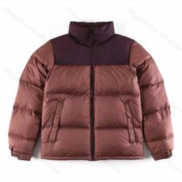 Nf Puffer Mens Down Jacket Faced Coats Outwear Embroidery Stand Collar Loose Thick Zipper Fashion Winter Jackets Outerwear Recycled Black Thyme Red Goose 210XG