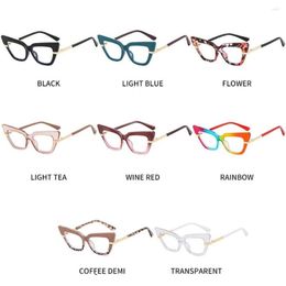 Sunglasses Ins Trendy Eyewear Cat Eye Laides Decorative Eyeglasses Glasses Frame Anti Blue Ligth Spectacles Frames