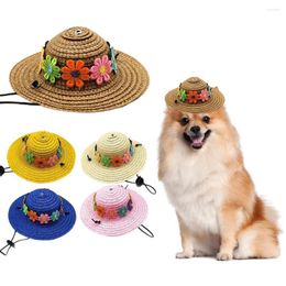 Dog Apparel Pet Hat Adjustable Easy-wearing Flower Ornament Decorative No Odour Decoration Pography Prop Supplies