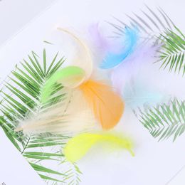 100pcs 4-8cm Small Floating Swan Feather Plume Colored Natural Goose Feathers for Craft Wedding Jewelry Home Decoration Plumes