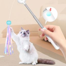 Cat Toys 2 In 1 Teaser Stick Interactive Feather Toy Infrared Funny USB Rechargeable Self-help Supplies