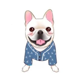Dog Apparel Chihuahua Denim Shirt Pet Clothes for Small Dogs Clothing French Bulldog Jacket For Yorkies Costume Pug PC0631 231031