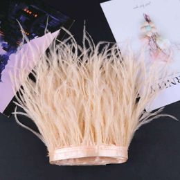 10-15CM 10 Yards Natural Feather Trims Ribbon Trimming for Lady Dress Sewing Accessory Ostrich Plumas Fringe Hot Sale