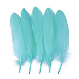 6-8 Inch Natural Goose Wholesale Swan Feathers Multicolor Costume Headdress Jewelry Making Decoration Diy Plumas