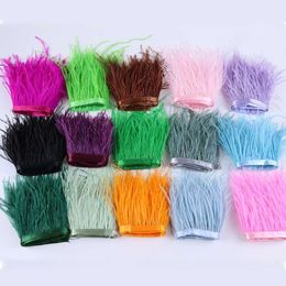 1 Metre Natural Feather Trim Trims High Quality Ostrich Decoration Plumas Fringe for Festival Dress Sewing Accessory