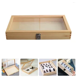 Frames Bug Display Case Butterflies Specimen Dustproof Insect Holder Wooden Frame Storage Glass