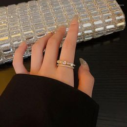 Cluster Rings South Korea's Double Index Finger Ring Light Luxury Niche Senior Design Sense Color Zircon Female