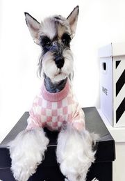 Pet Dog Cat Clothes French Fighting Schnauzer Teddy Doll British Short Pink Pet Dogs Girl Wind Checkerboard Sweater2456010