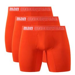 Underpants 3 Pcs Big Size Men Underwear Sexy Panties Bamboo Fibre Knickers Boy Long Undies Crotch Opening Sport Boxers Briefs 231031