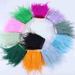 Multicolor Natural Feathers Trims Fringe Crafts 1 Meter Long Ostrich Plumas Ribbon Lace for Costume Dress Sewing