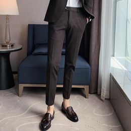 Men's Suits Summer Ankle Length Suit Pants Trousers For Male Ice Silk Korean Style Thin Man Formal 2023 Korea Clothes G147