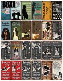 Kelly66 Warning Dog Rules With Cavalier King Charles Spaniel Metal Sign Home Decor Bar Wall Art Painting 2030 CM Size2484697