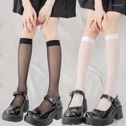 Women Socks 3pairs Sexy Lolita JK Girls Uniform See Through Summer Thin Long Nylon Knee Stockings