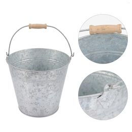 Vases Crafts Stainless Steel Bucket Pots Outdoor Plants Goats Milk Dogs Wood Tin Buckets Party