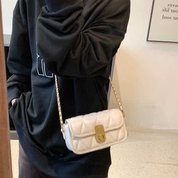 Shoulder Bags Crossbody Bag Winter New in Trendy Women's Designer Small Chain Handbags and Purses Luxury Brand 230322