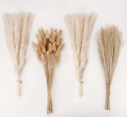 Dried Flowers 100PCS Natural White Pampas Grass Bunny Tails Reed Bouquet for Rustic Wedding Boho Home Table Decor 231101