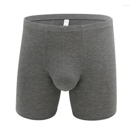 Underpants Sexy Men Underwear Boxer Shorts Bamboo Fiber Panties Man Solid U Convex Pouch Long Leg Cueca Calzoncillos S-XL