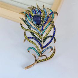 Brooches Creative Peacock Feather Brooch Rhinestone Hollow Vintage Multi-color Female Scarf Buckle Jewelr Piny