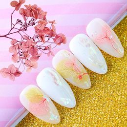 Nail Stickers Art Dried Flower Decoration Autumn And Winter Beautiful Two-tone Gradient Color Blooming Jewelry Tray