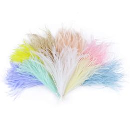 100pcs/bunch Natural Feather Tassel Trims Jewellery Making 10-18CM Dyed Ostrich Plume Wedding Dress Clothes Decoration