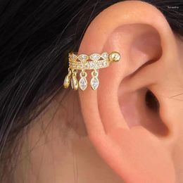 Hoop Earrings Gold Colour Tassel Screw Studs Conch Piercing Tragus Zircon Hollow Cartilage Ear Accessories Gifts KDE082