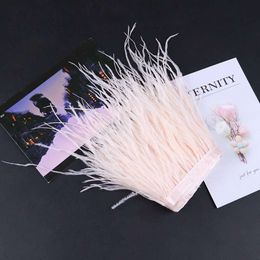 Customized Feathers Trim Fringe Natural Ostrich Feather Ribbon Trimming for Party Clothing Sewing Accessory Long Plumas